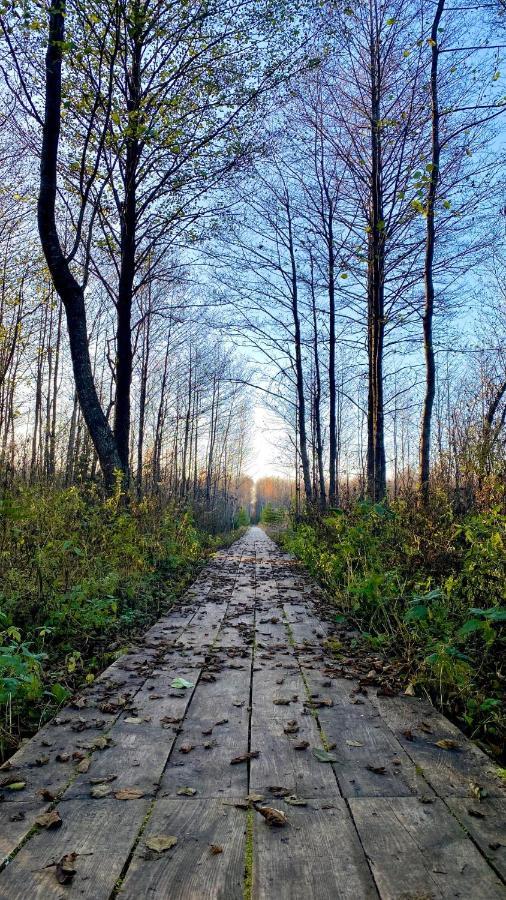 Agroturystyka Ostrowie Villa Dabrowa Bialostocka Exterior foto